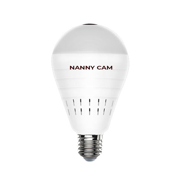 Original Nanny Cam